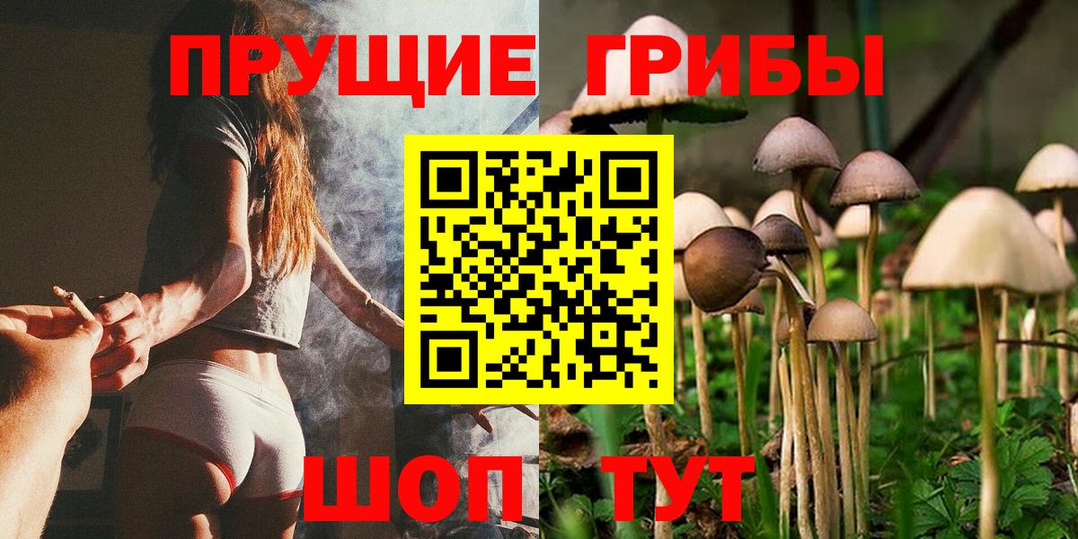 Тейково  Псилоцибиновые грибы Cubensis  Вход с VPN 